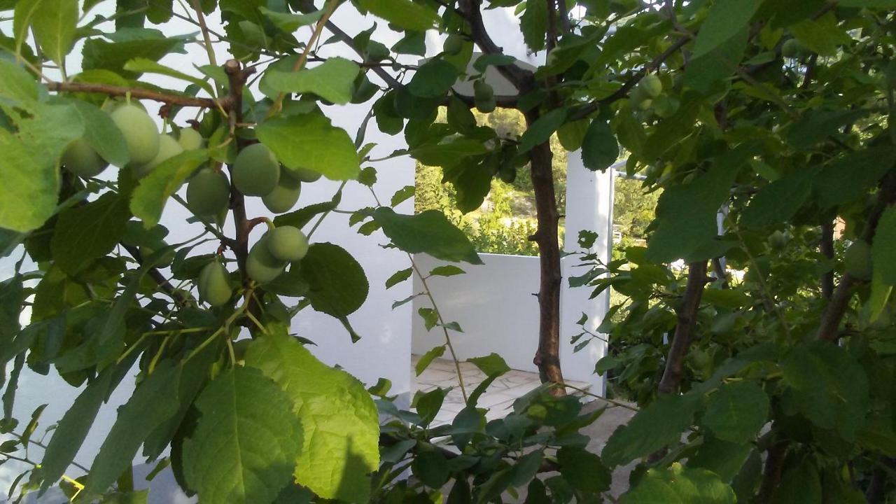 Kuca Za Odmor Maka Villa Kučiće Екстериор снимка