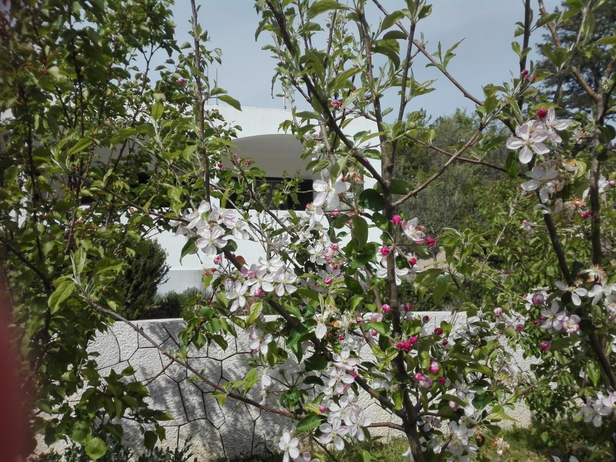 Kuca Za Odmor Maka Villa Kučiće Екстериор снимка