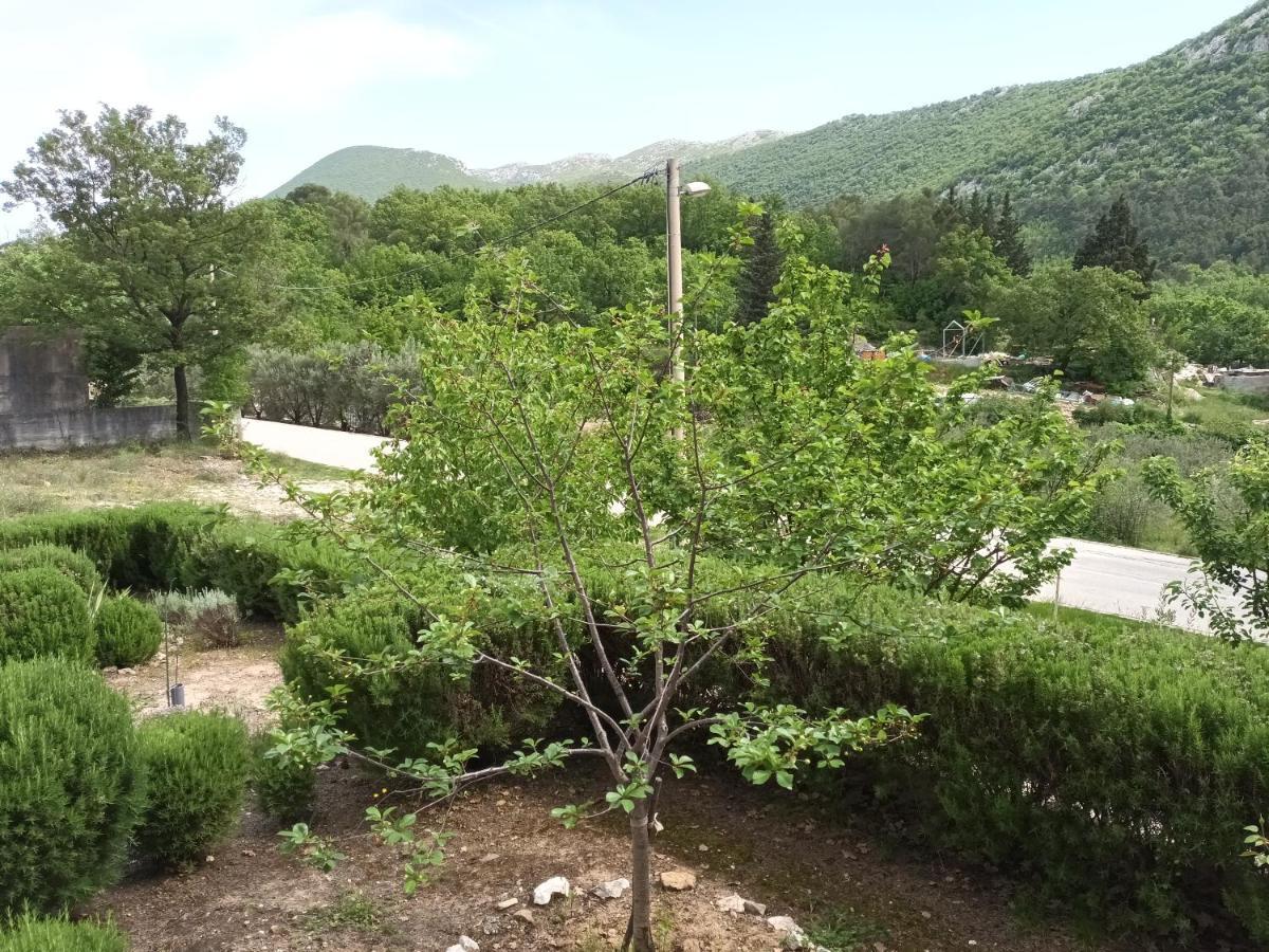 Kuca Za Odmor Maka Villa Kučiće Екстериор снимка